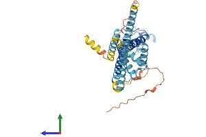 AlphaFold protein structure predicition of Human Recombinant CALHM1 Protein, UniprotID Q8IU99
