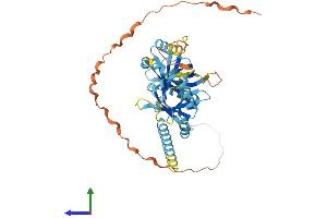 AlphaFold protein structure predicition of Mouse Recombinant Ptov1 Protein, UniprotID Q91VU8