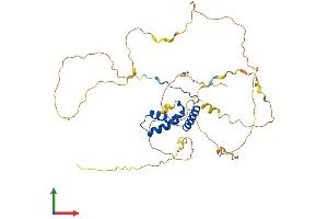 AlphaFold protein structure predicition of Mouse Recombinant Sox17 Protein, UniprotID Q61473