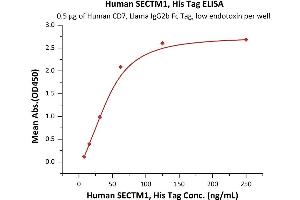 Immobilized Human CD7, Llama IgG2b Fc Tag, low endotoxin (ABIN6938916,ABIN6950992) at 5 μg/mL (100 μL/well) can bind Human SECTM1, His Tag (ABIN2181734,ABIN2181733) with a linear range of 8-63 ng/mL (QC tested). (SECTM1 Protein (AA 29-145) (His tag))