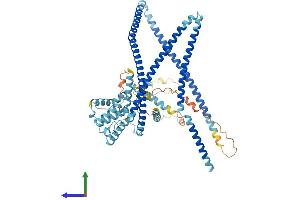 AlphaFold protein structure predicition of Human Recombinant CCDC22 Protein, UniprotID O60826