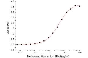 Activity Assay (AcA) image for Interleukin 13 Receptor, alpha 2 (IL13RA2) (AA 27-343) (Active) protein (His tag) (ABIN7607501)