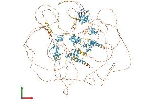 AlphaFold protein structure predicition of Human Recombinant PRDM16 Protein, UniprotID Q9HAZ2