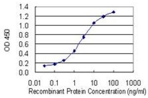 Detection limit for recombinant GST tagged DCTD is 0. (DCMP Deaminase (DCTD) (AA 69-178) anticorps)