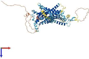 AlphaFold protein structure predicition of Mouse Recombinant Slc34a3 Protein, UniprotID Q80SU6