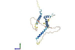 AlphaFold protein structure predicition of Mouse Recombinant Gemin8 Protein, UniprotID Q8BHE1
