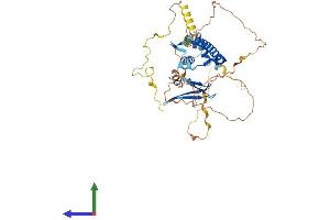 AlphaFold protein structure predicition of Human Recombinant E2F1 Protein, UniprotID Q01094