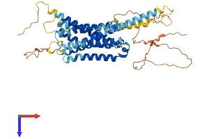 AlphaFold protein structure predicition of Mouse Recombinant Drd1 Protein, UniprotID Q61616