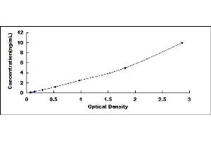 Typical standard curve (Cathepsin E Kit ELISA)