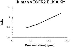 Human VEGFR2/KDR PicoKine ELISA Kit standard curve (VEGFR2/CD309 Kit ELISA)