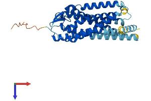 AlphaFold protein structure predicition of Mouse Recombinant P2ry6 Protein, UniprotID Q9ERK9
