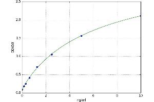 Small Ubiquitin Related Modifier Protein 1 (SUMO1) ELISA Kit