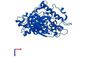 AlphaFold protein structure predicition of Human Recombinant ACAT2 Protein, UniprotID Q9BWD1