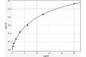 Typical standard curve (NR2C1 Kit ELISA)