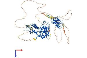 AlphaFold protein structure predicition of Human Recombinant XRCC1 Protein, UniprotID P18887