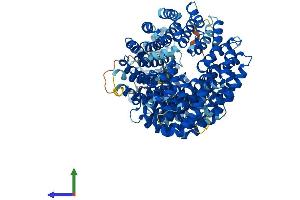 AlphaFold protein structure predicition of Mouse Recombinant Ipo4 Protein, UniprotID Q8VI75