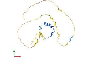 AlphaFold protein structure predicition of Human Recombinant CITED4 Protein, UniprotID Q96RK1