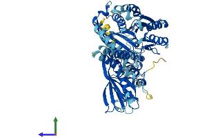 AlphaFold protein structure predicition of Human Recombinant SACM1L Protein, UniprotID Q9NTJ5