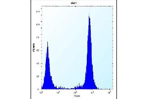 TLR4 Antibody (Center) (ABIN653638 and ABIN2842986) flow cytometric analysis of  cells (right histogram) compared to a negative control cell (left histogram).