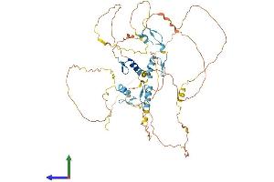 AlphaFold protein structure predicition of Human Recombinant INSM2 Protein, UniprotID Q96T92