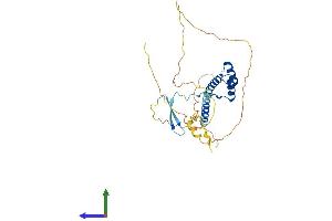 AlphaFold protein structure predicition of Human Recombinant VAX1 Protein, UniprotID Q5SQQ9