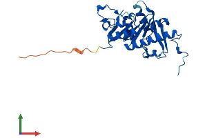 AlphaFold protein structure predicition of Mouse Recombinant Apip Protein, UniprotID Q9WVQ5