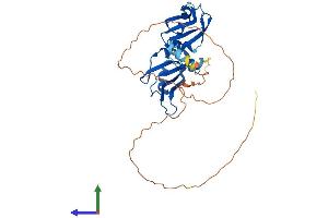AlphaFold protein structure predicition of Mouse Recombinant Hnrnpa1 Protein, UniprotID P49312