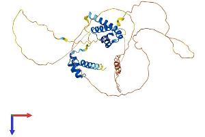 AlphaFold protein structure predicition of Human Recombinant POU4F2 Protein, UniprotID Q12837