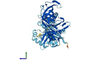 AlphaFold protein structure predicition of Human Recombinant EEF1A1 Protein, UniprotID P68104