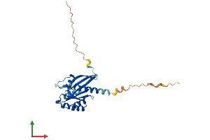 AlphaFold protein structure predicition of Mouse Recombinant Rab3c Protein, UniprotID P62823