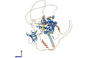 AlphaFold protein structure predicition of Human Recombinant USP37 Protein, UniprotID Q86T82