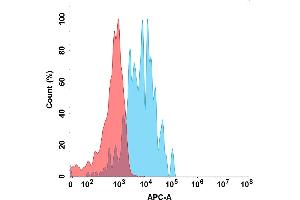 Flow cytometry analysis with 15 μg/mL Human SL Protein, mFc-His Tag (ABIN6961097, ABIN7042223 and ABIN7042224) on Expi293 cells transfected with Human SL protein (Blue histogram) or Expi293 transfected with irrelevant protein (Red histogram).