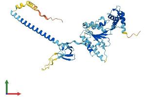 AlphaFold protein structure predicition of Mouse Recombinant Psmc3 Protein, UniprotID O88685