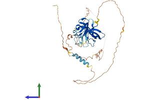 AlphaFold protein structure predicition of Human Recombinant STAC Protein, UniprotID Q99469