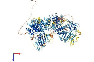 AlphaFold protein structure predicition of Mouse Recombinant Nlrp1b Protein, UniprotID Q0GKD5
