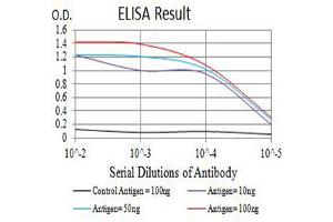 Black line: Control Antigen (100 ng),Purple line: Antigen (10 ng), Blue line: Antigen (50 ng), Red line:Antigen (100 ng)