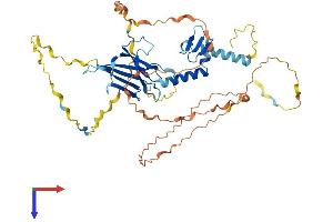 AlphaFold protein structure predicition of Human Recombinant SF3A2 Protein, UniprotID Q15428