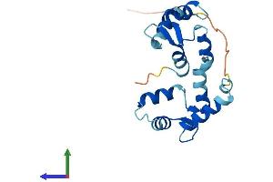 AlphaFold protein structure predicition of Human Recombinant MYL7 Protein, UniprotID Q01449