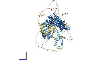 AlphaFold protein structure predicition of Human Recombinant SIN3A Protein, UniprotID Q96ST3