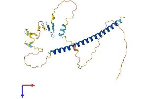 AlphaFold protein structure predicition of Mouse Recombinant Atf1 Protein, UniprotID P81269
