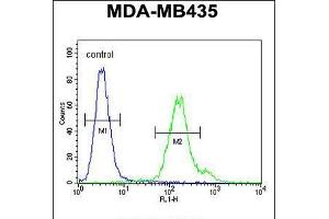 Flow cytometric analysis of MDA-MB435 cells (right histogram) compared to a negative control cell (left histogram). (MTX2 anticorps  (C-Term))