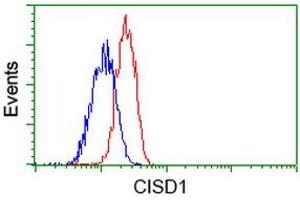 Flow cytometric Analysis of Jurkat cells, using anti-CISD1 antibody (ABIN2452906), (Red), compared to a nonspecific negative control antibody (ABIN2452906), (Blue). (CISD1 anticorps)
