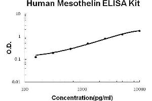 Human Mesothelin PicoKine ELISA Kit standard curve (Mesothelin Kit ELISA)