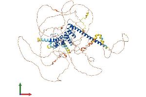 AlphaFold protein structure predicition of Human Recombinant SNCAIP Protein, UniprotID Q9Y6H5
