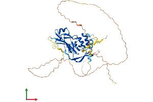 AlphaFold protein structure predicition of Human Recombinant TBX20 Protein, UniprotID Q9UMR3