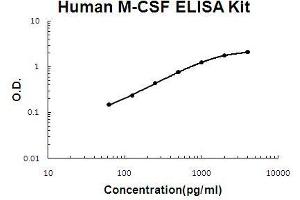 Human M-CSF PicoKine ELISA Kit standard curve (M-CSF/CSF1 Kit ELISA)