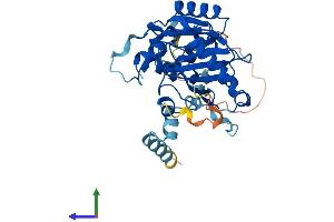 AlphaFold protein structure predicition of Human Recombinant CDC123 Protein, UniprotID O75794