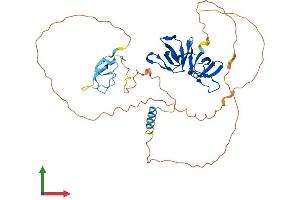 AlphaFold protein structure predicition of Human Recombinant STAC Protein, UniprotID Q99469