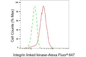 Flow cytometric analysis of Integrin linked kinase expression in C2C12 cells using Integrin linked kinase antibody (ABIN7799075), 1:2,000).