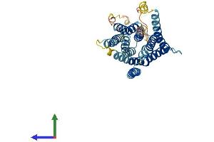 AlphaFold protein structure predicition of Human Recombinant SLC39A1 Protein, UniprotID Q9NY26